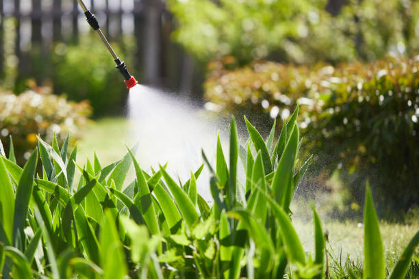 24/7 Emergency Mosquito Control experts in Alexandria, MN